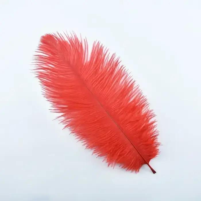 Chapeaux en plumes d'autruche naturelles, 20-25cm/8-10 pouces, plumes d'autruche blanches, décoratio