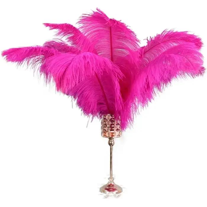 Plumes d'autruche rouge rosé décoratives de 15-70 cm/6-28 po de long, grandes plumes pour chapeaux, 