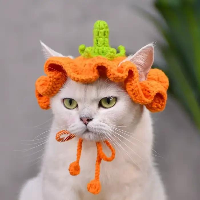 Chapeau de citrouille au Crochet fait à la main, coiffure pour chat, chapeau pour animaux de compagn