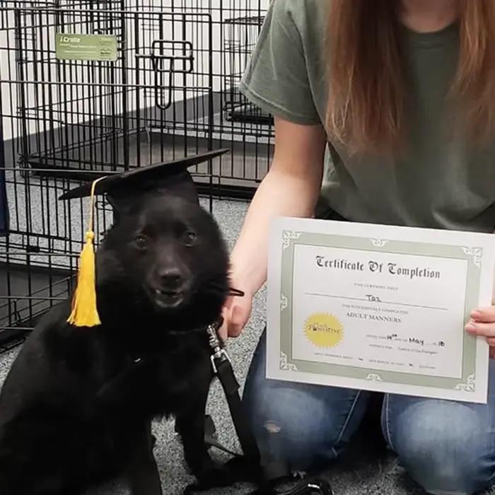 Chapeau de remise de diplôme