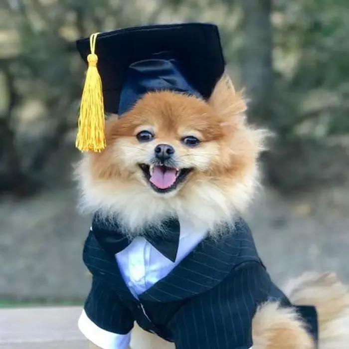 Chapeau de remise de diplôme
