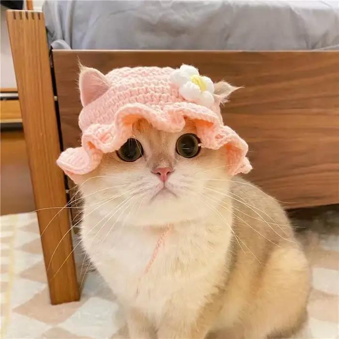 Chapeau de chat fait à la main