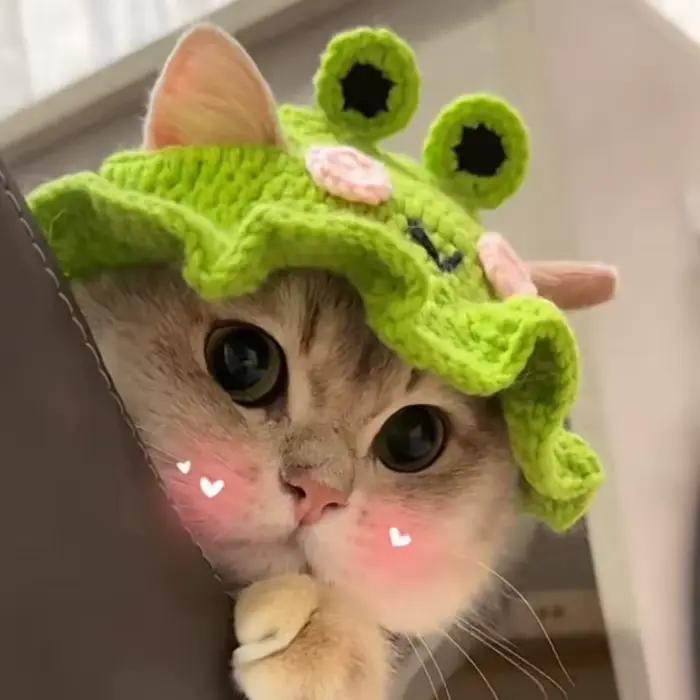Chapeau de chat fait à la main