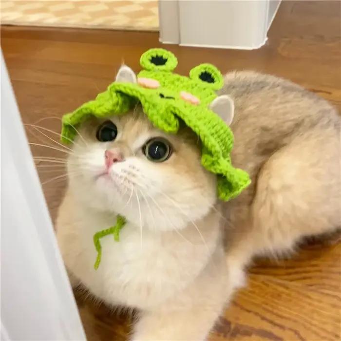 Chapeau de chat fait à la main