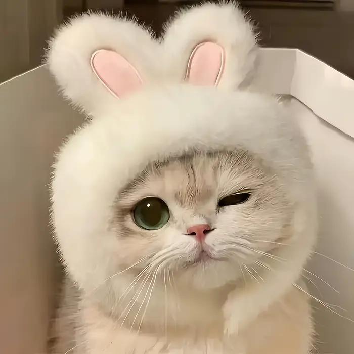 Chapeau de chat oreilles de lapin