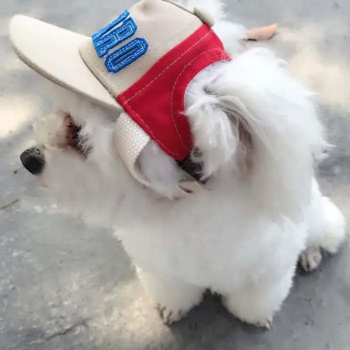 Casquette de sport avec lettre pour animaux de compagnie