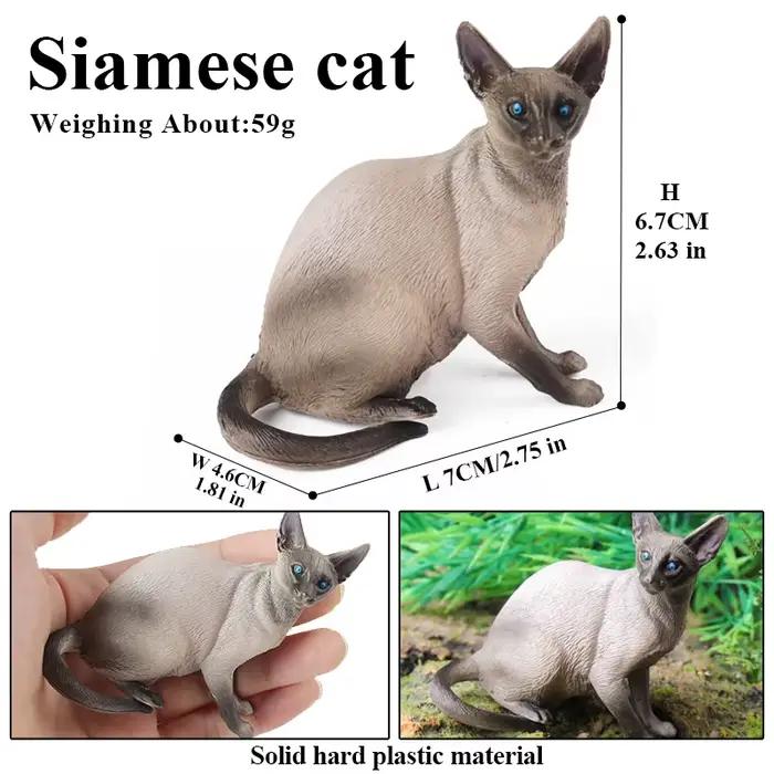 Oenux chat modèle siamois Devon Rex Sphynx Ragdoll persan Figurine