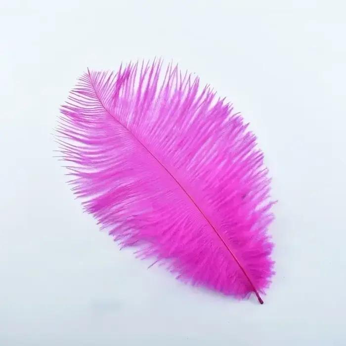 Chapeaux en plumes d'autruche naturelles
