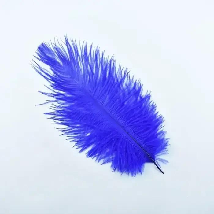 Chapeaux en plumes d'autruche naturelles