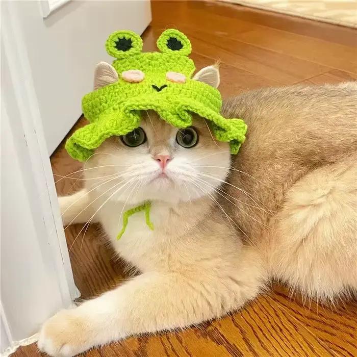 Chapeau de chat fait à la main