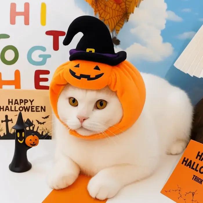 Cadeau citrouille animal de compagnie Halloween chapeau doux confortable chiens