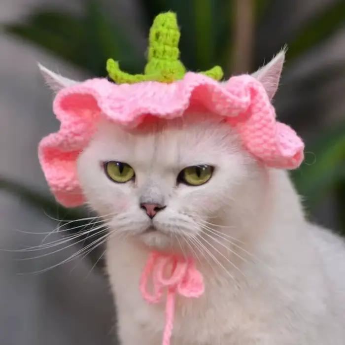 Chapeau de citrouille au Crochet fait à la main
