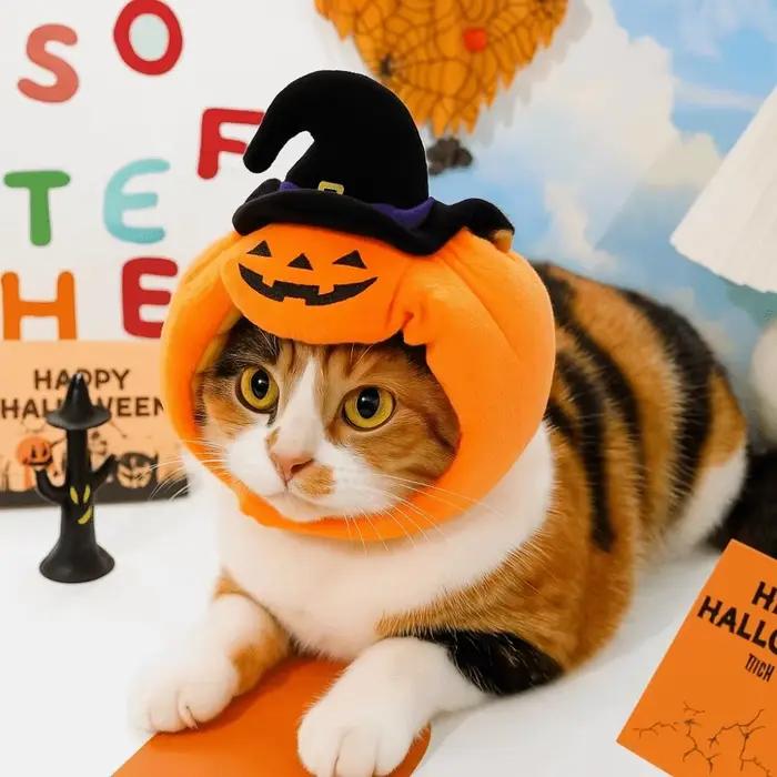 Cadeau citrouille animal de compagnie Halloween chapeau doux confortable chiens