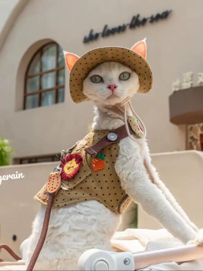 Chapeau de chat en fibre de coton réglable, chapeaux de randonnée, crème solaire, point de vague, De