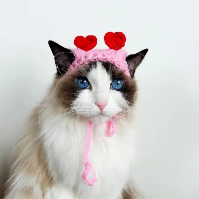 Chapeau en forme de cœur de pêche au crochet pour chats et chiens, petit chien, chapeau végétal, vêt
