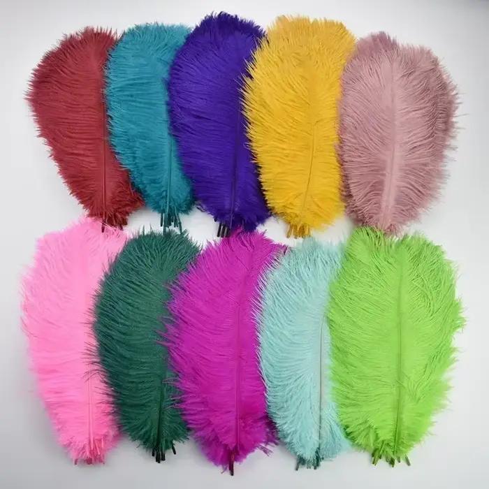 10 Plumes d'autruche colorées pour décoration, 25-30 cm (10-12 po) de long, pour chapeaux, centres d