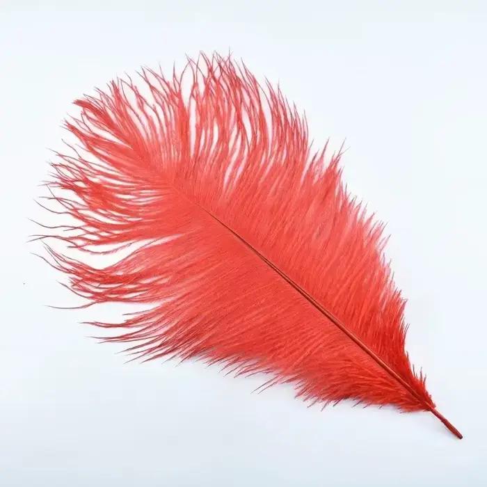 Plumes d'autruche colorées pour l'artisanat, 35-40CM, 14-16 pouces, grands chapeaux, vases, décorati