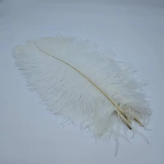 Plumes d'autruche naturelles pour l'artisanat, décoration de mariage, accessoires d'artisanat, centr