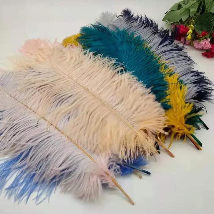 Plumes d'autruche naturelles pour l'artisanat