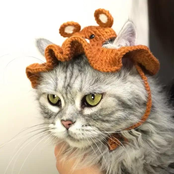 Chapeau au crochet ours brun pour chats et animaux de compagnie