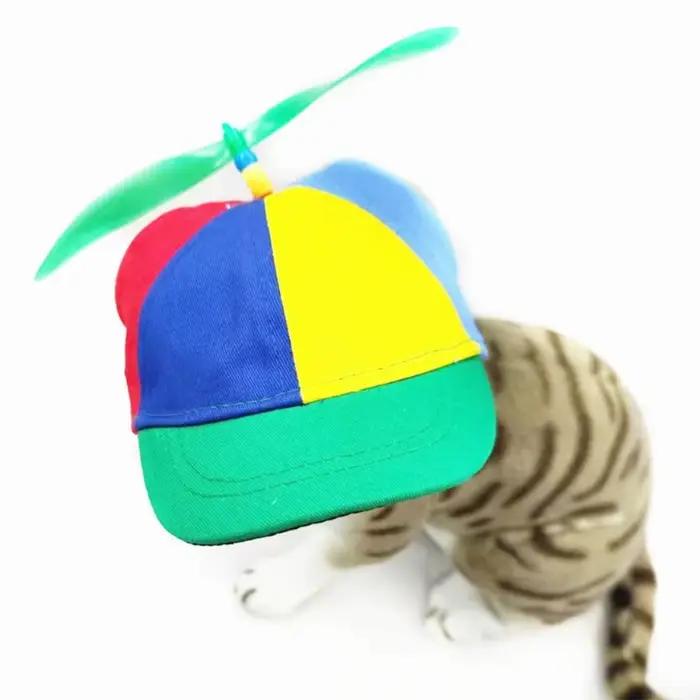 Chapeau à hélice pour animaux de compagnie