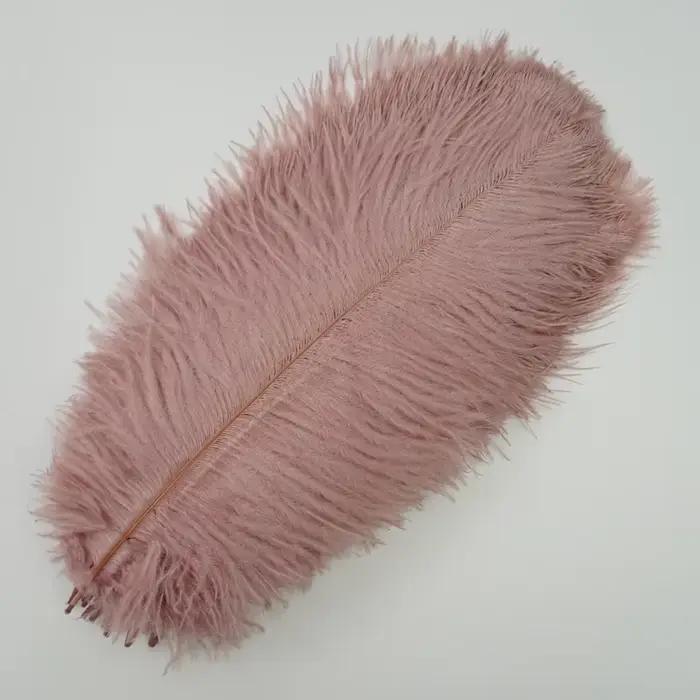 10 Plumes d'autruche colorées pour décoration