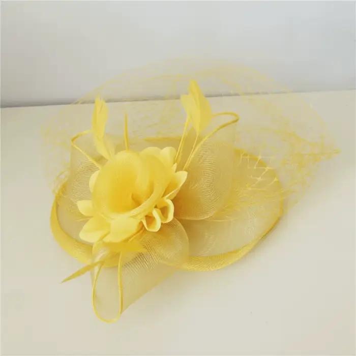 Chapeau Fascinator Style Vintage avec Plumes et Voilette