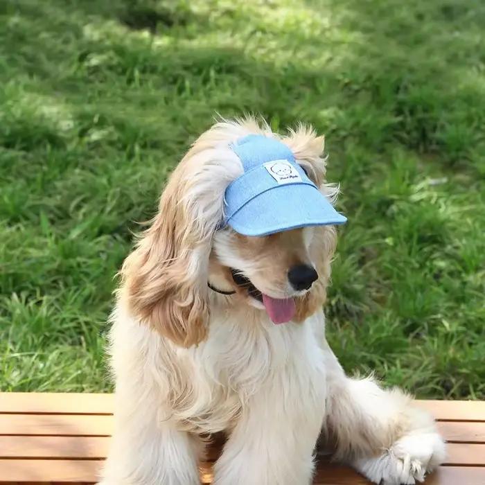 Casquette pour chien avec trous pour les oreilles