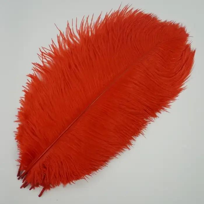 10 Plumes d'autruche colorées pour décoration