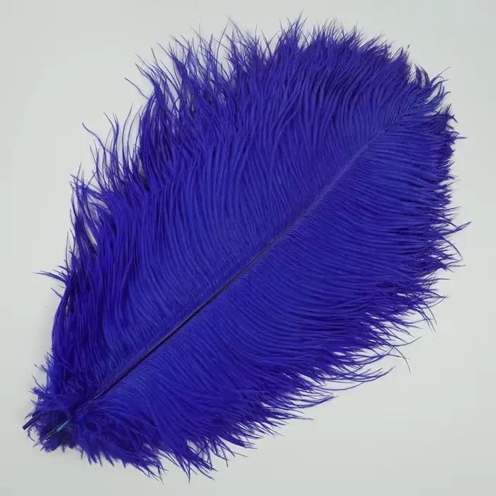 10 Plumes d'autruche colorées pour décoration