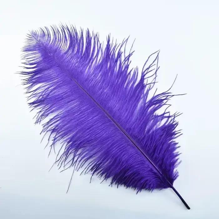 Plumes d'autruche colorées pour l'artisanat
