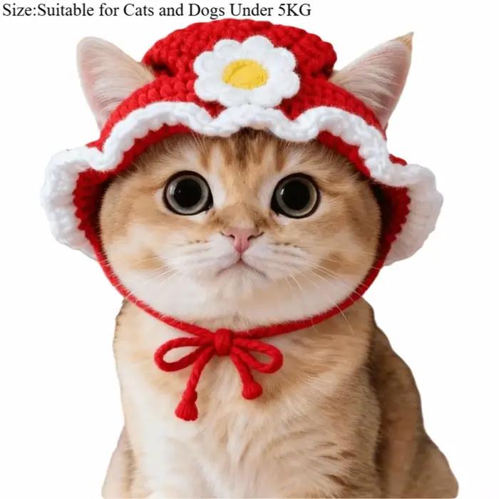 Nouveau Chapeau Amusant pour Chat