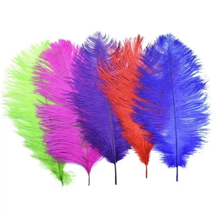Plumes d'autruche colorées pour l'artisanat