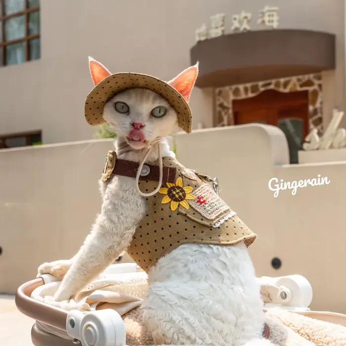 Chapeau de chat en fibre de coton réglable