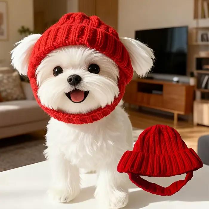 Bonnet pour chien maltais