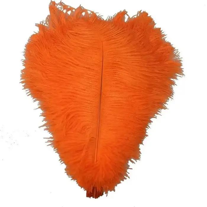 Plumes d'autruche orange pour l'artisanat