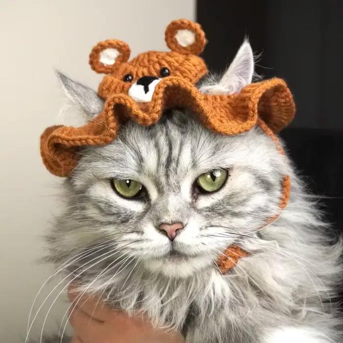 Chapeau au crochet ours brun pour chats et animaux de compagnie