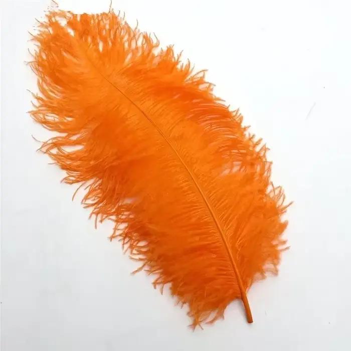 Plumes d'autruche orange pour l'artisanat