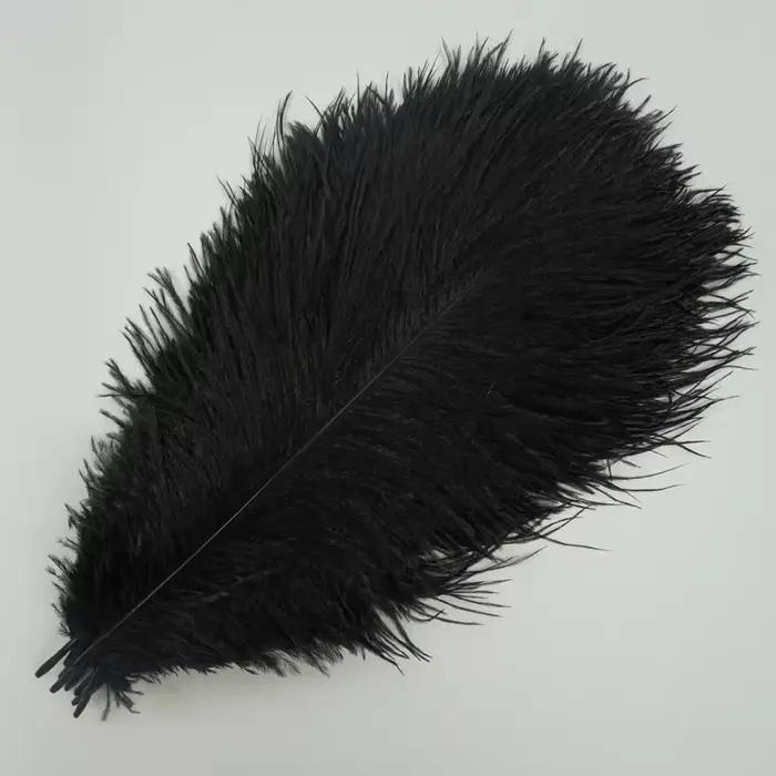 10 Plumes d'autruche colorées pour décoration