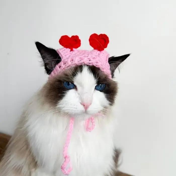 Chapeau en forme de cœur de pêche au crochet pour chats et chiens