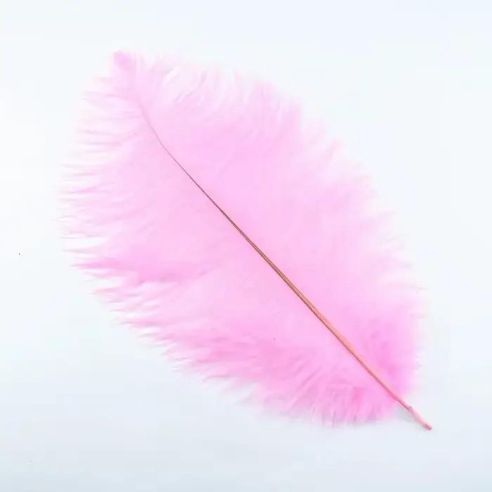 Plumes d'autruche colorées pour l'artisanat