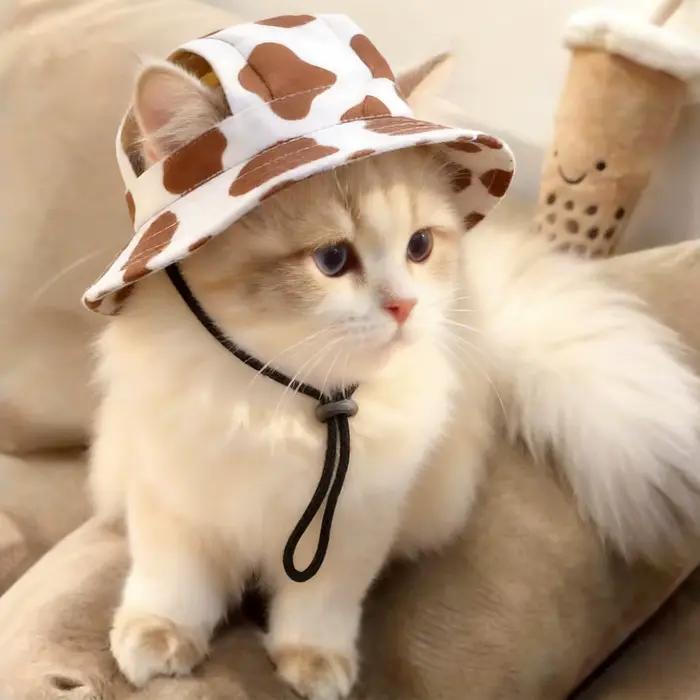 Chapeau pour chien à imprimé mignon pour chiens de petite et moyenne taille, casquette réglable pour animaux de compagnie, chapeaux pour chiots, Pug, Corgi, Teckel, accessoires pour chiens