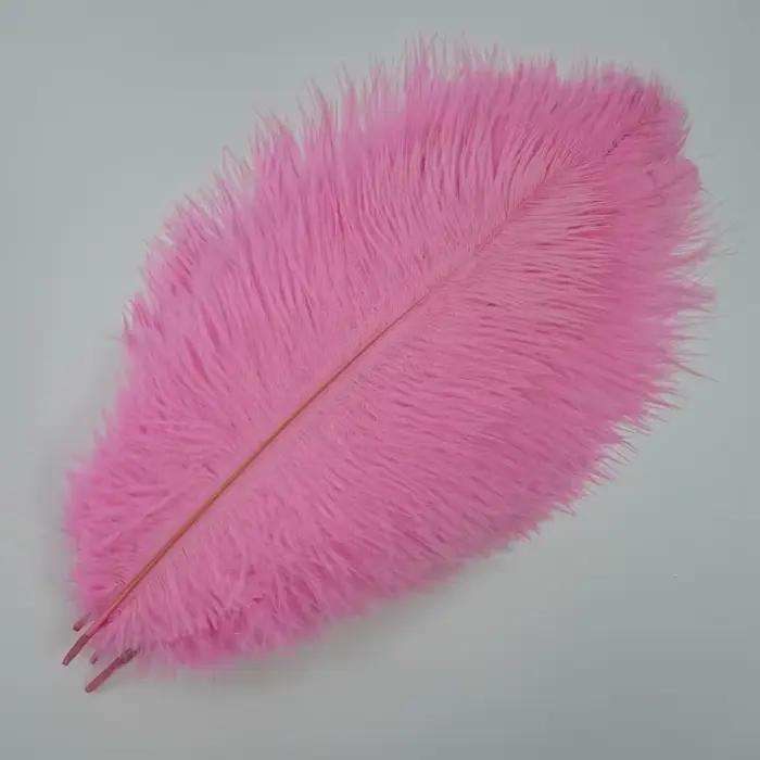 10 Plumes d'autruche colorées pour décoration