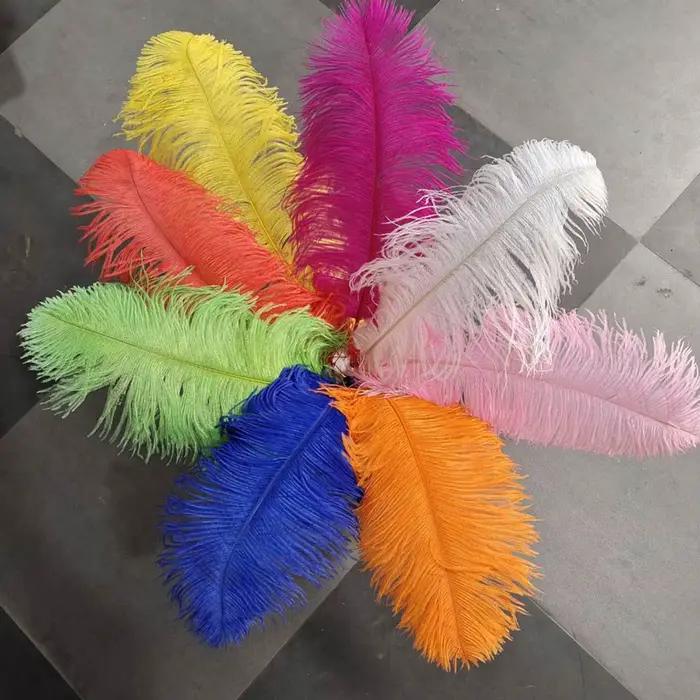 Plumes d'autruche naturelles pour l'artisanat