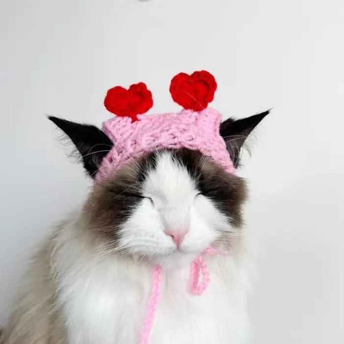 Chapeau en forme de cœur de pêche au crochet pour chats et chiens