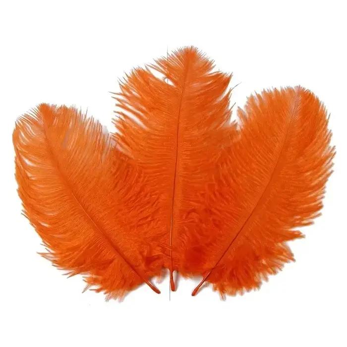 Plumes d'autruche orange pour l'artisanat