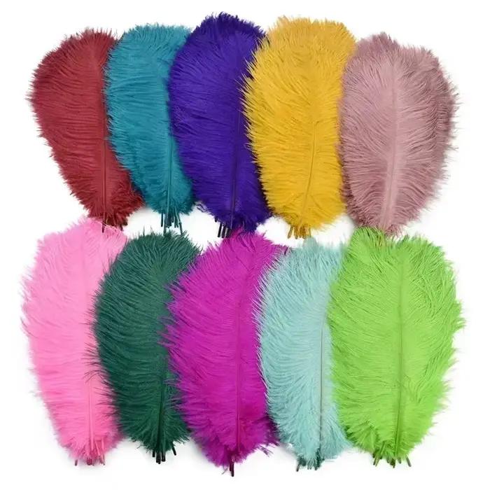 10 Plumes d'autruche colorées pour décoration