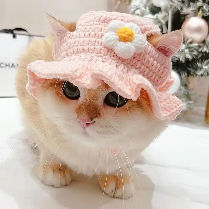 Chapeau de chat élastique mignon avec un peu de chaleur