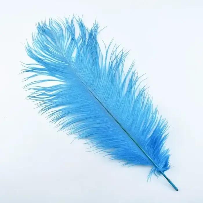 Plumes d'autruche colorées pour l'artisanat