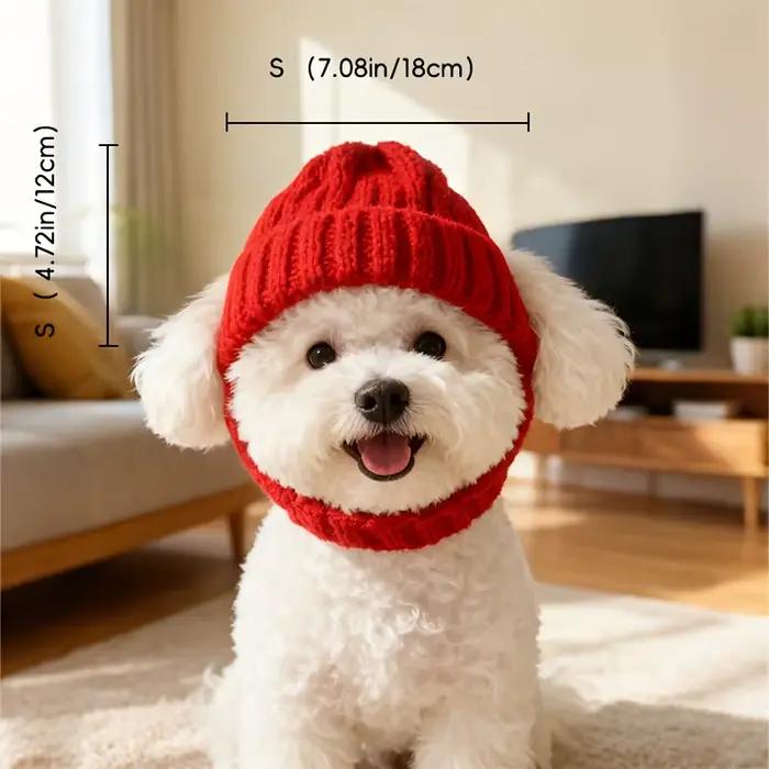 Bonnet pour chien maltais